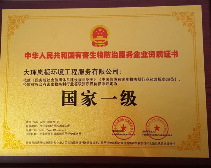 公司形象