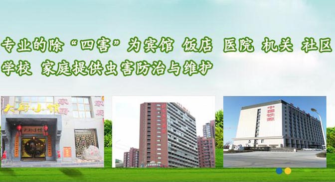 大理殺蟲(chóng)公司告訴你殺死蟑螂的方法，房屋要定期清理